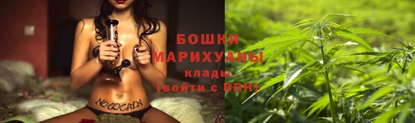 гашик Бронницы