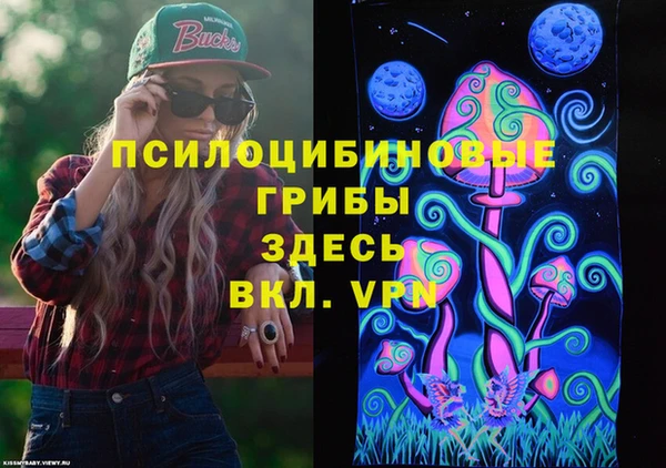 а пвп мука Верхний Тагил