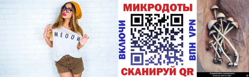 кракен маркетплейс  Гудермес  Псилоцибиновые грибы MAGIC MUSHROOMS 
