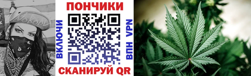 Каннабис Bruce Banner Гудермес