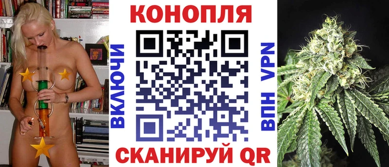 Марихуана сатива  Гудермес 
